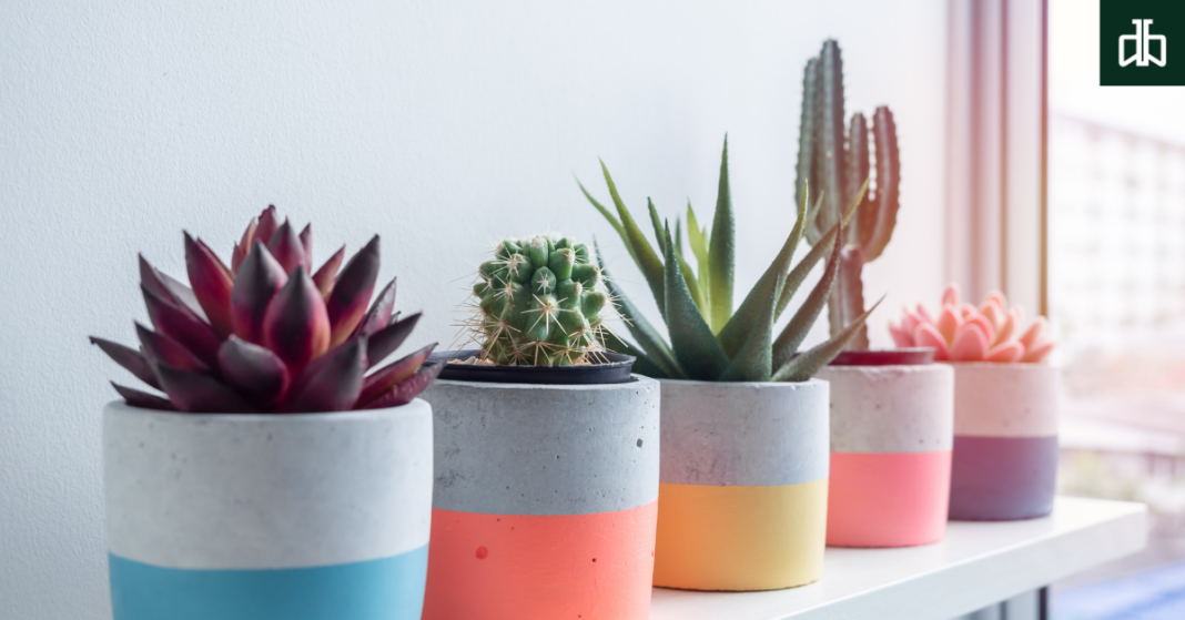 Plant Styling
